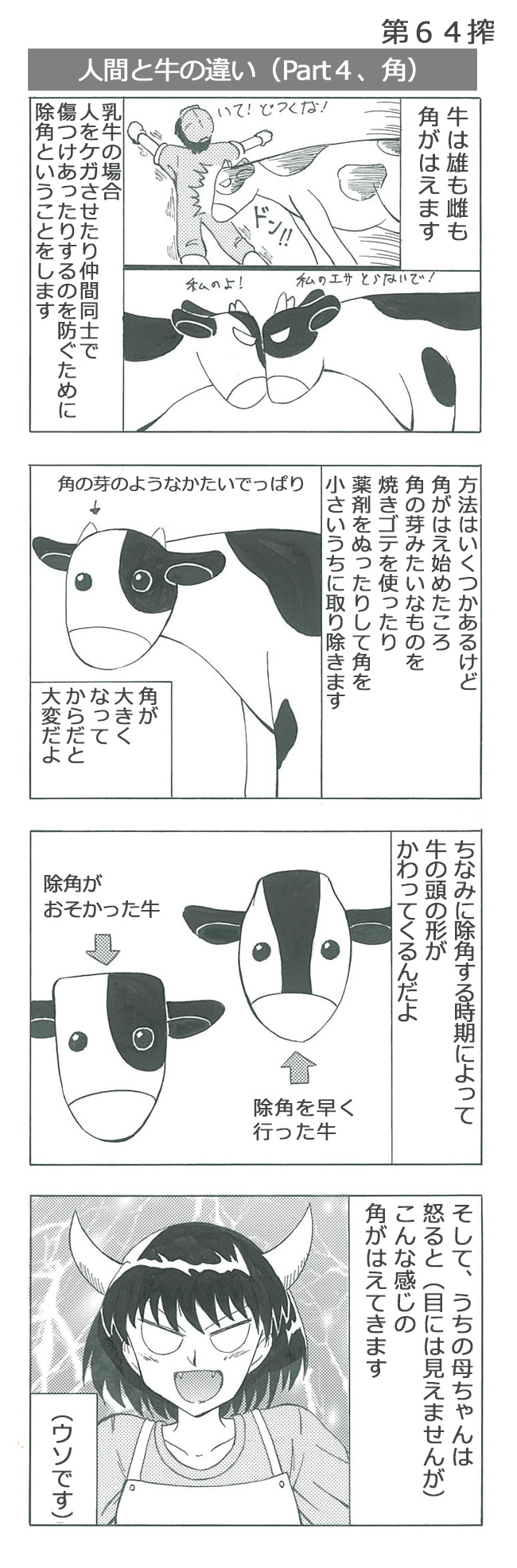 人間と牛の違い（Part４、角）